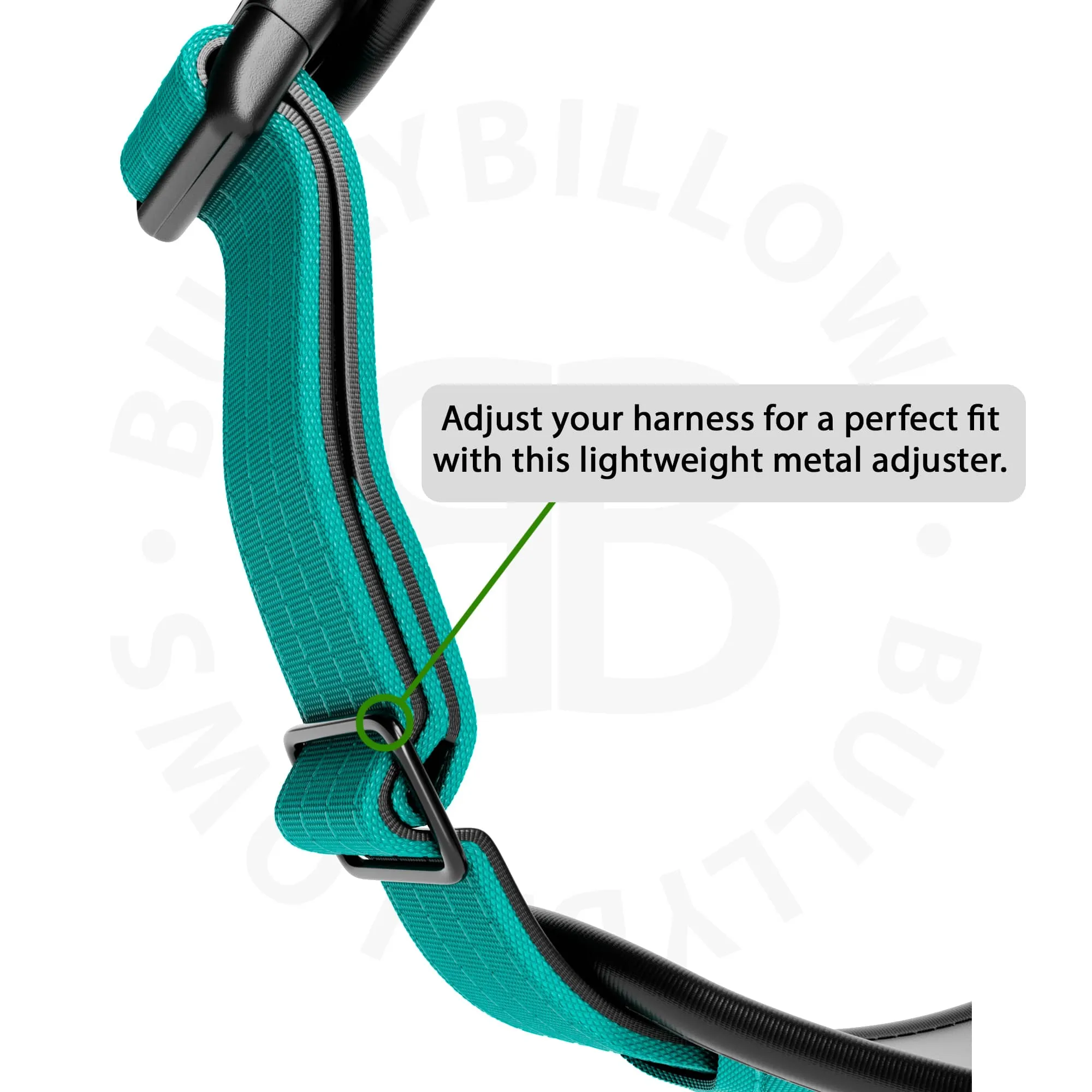 Comfort Premium Harness | Non Restrictive - Turquoise