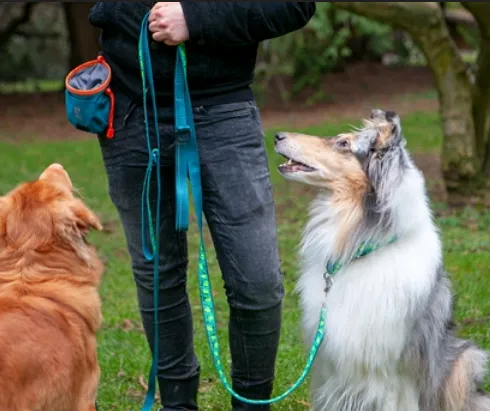 Essential Treat Bag