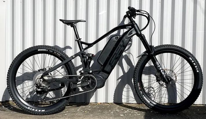 EX Pro Dual Battery Electric Mountain Bike