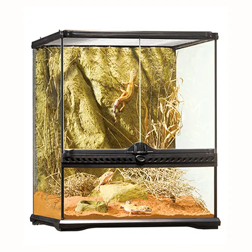 Exo Terra Glass Terrarium 30 x 30 x 45cm