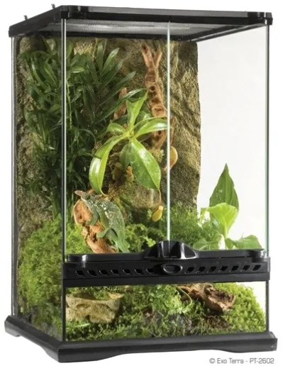 EXO-TERRA Glass Terrarium