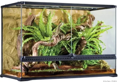 EXO-TERRA Glass Terrarium