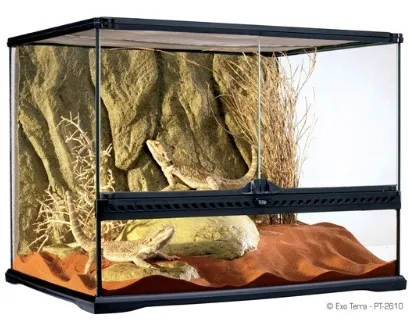 EXO-TERRA Glass Terrarium