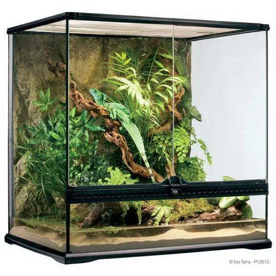 Exo Terra Medium Tall Terrarium