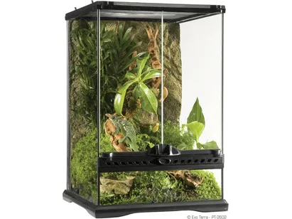 Exo Terra Natural Terrarium Mini Mini/Tall 30 x 30 x 45cm