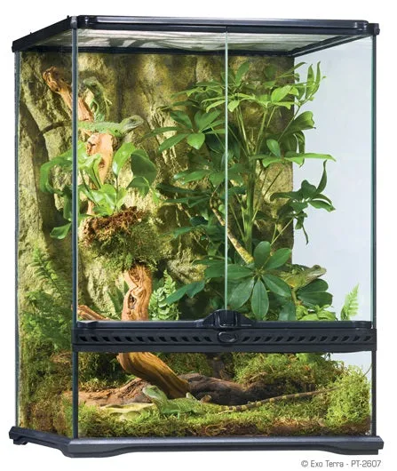 Exo Terra Small Tall Glass Terrarium (18" x 18" x 24")