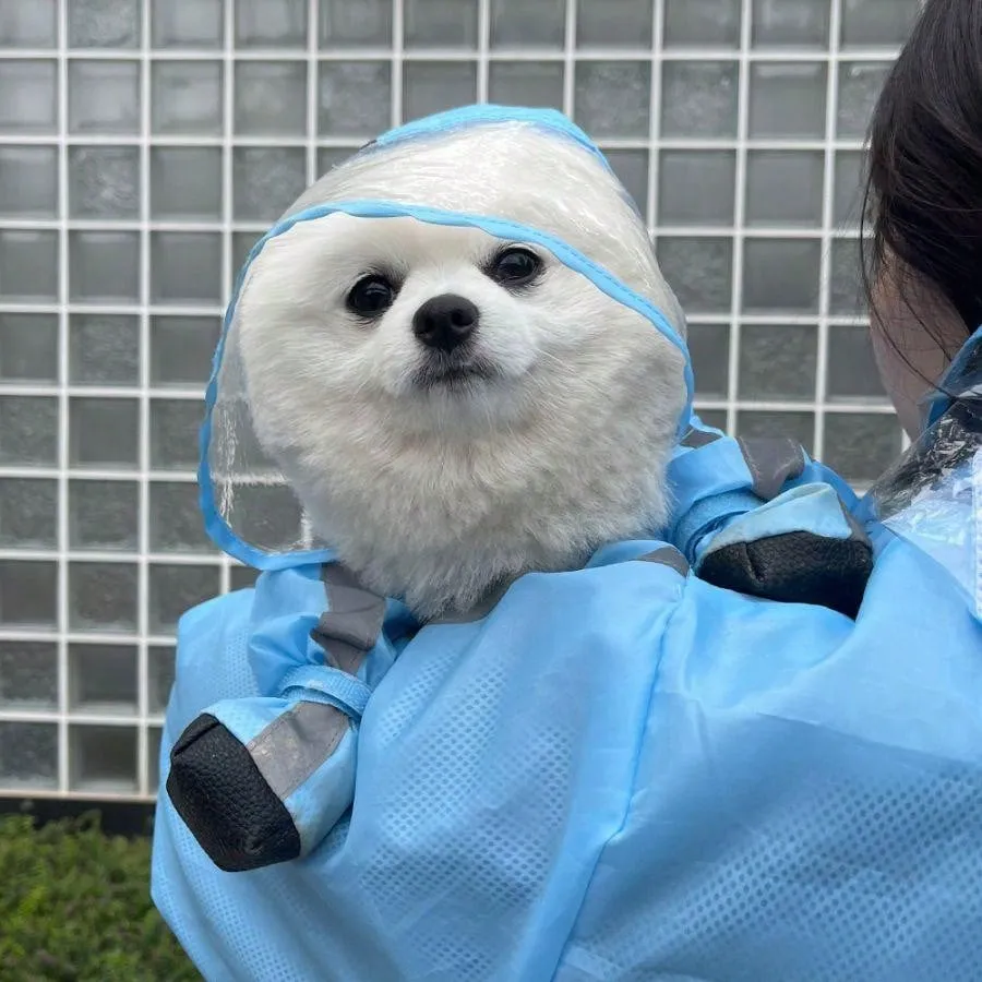 Full Coverage Waterproof Pet Four-Legged Jumpsuit Raincoat With Rain Shoes, Teddy, Bichon, French Bulldog Outdoor Clothes