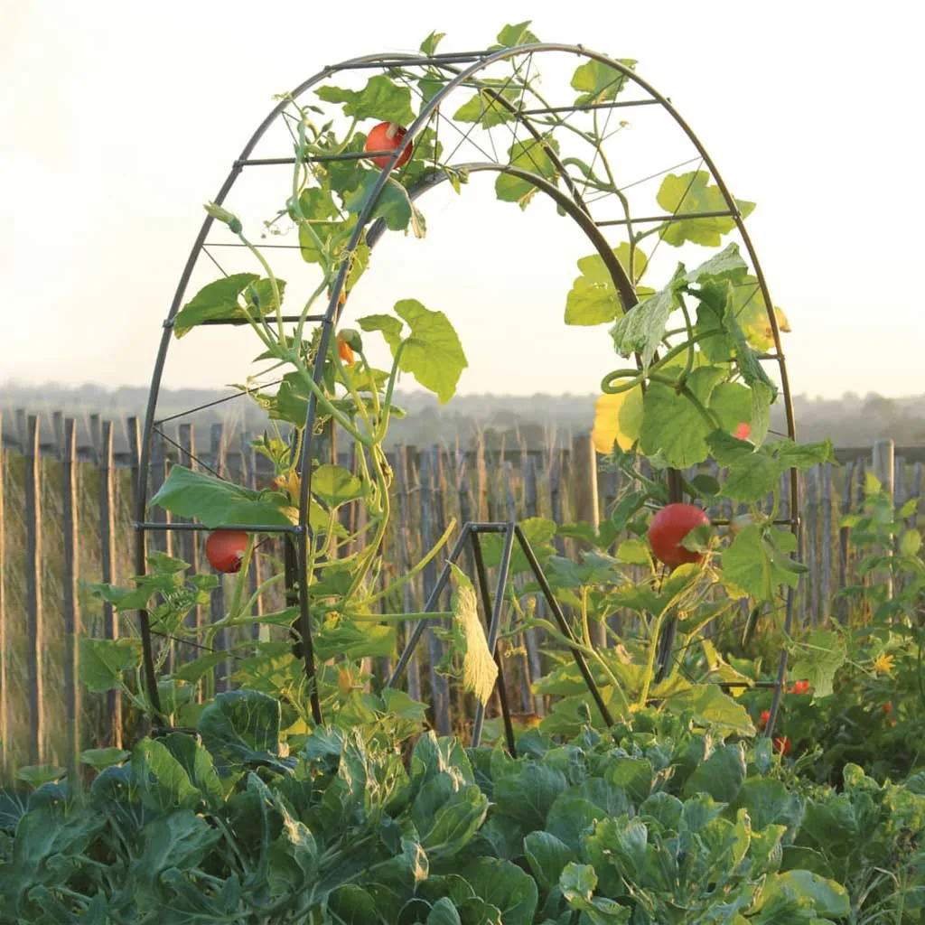 London Eye Plant Frame