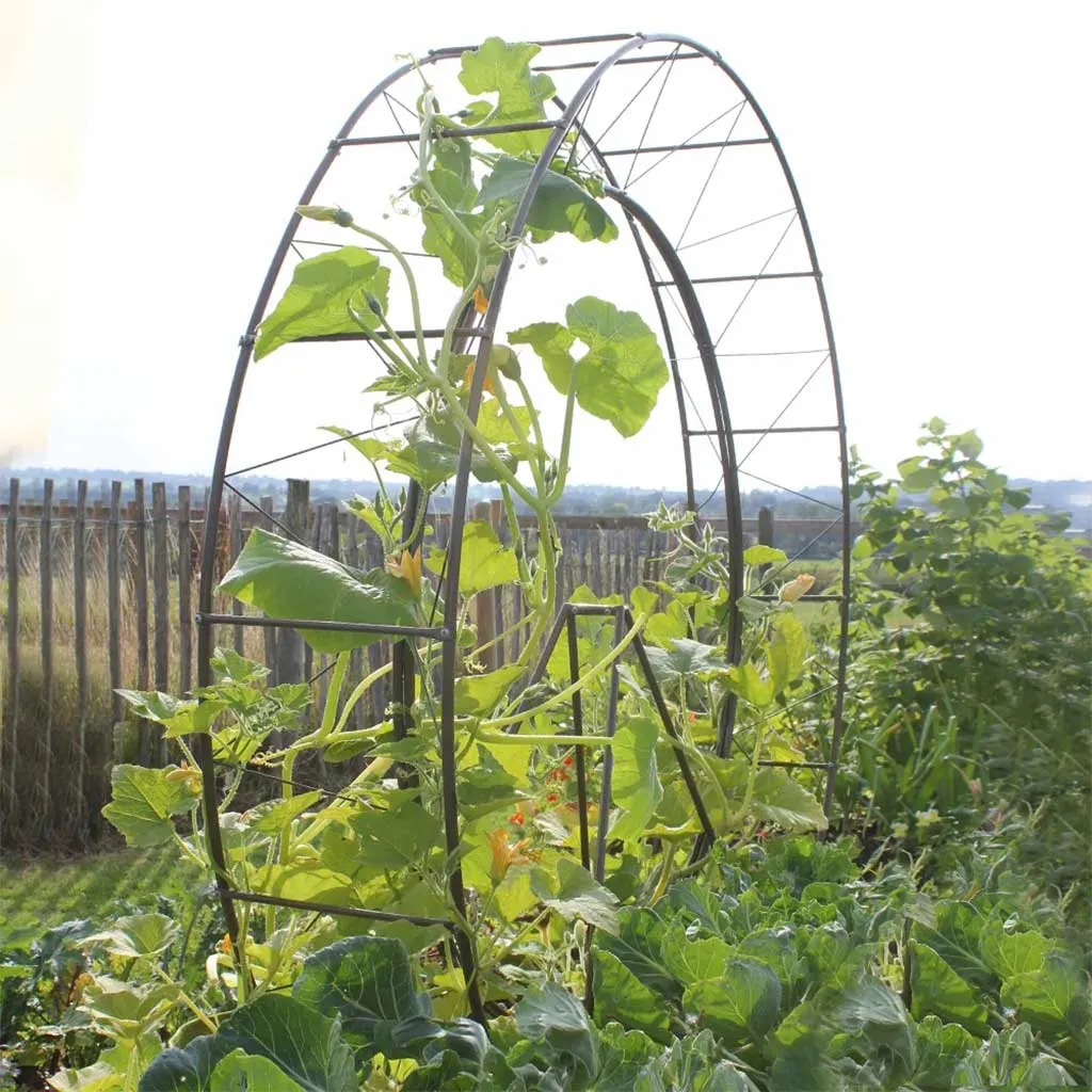 London Eye Plant Frame