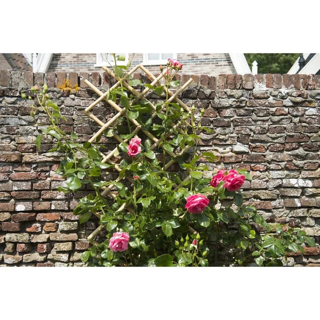 Nature Garden Trellis 45x180 cm Bamboo 6040720