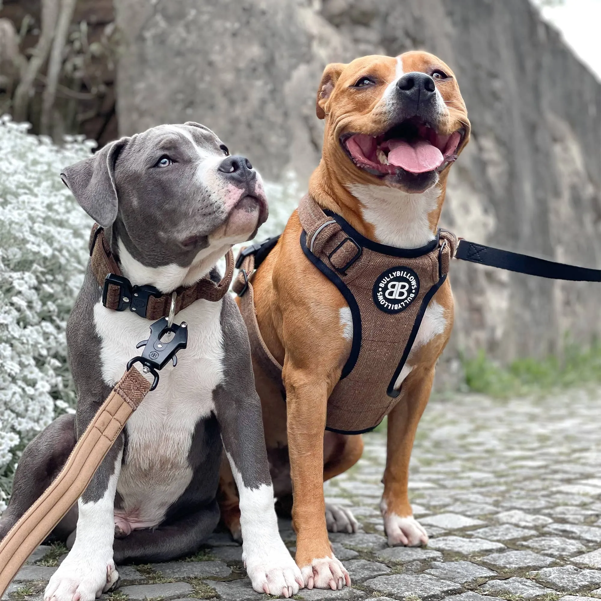 Premium Comfort Herringbone Harness | Non Restrictive - Stone Grey