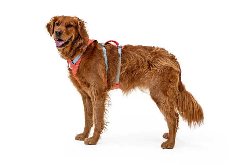 Ruffwear Flagline™ Dog Harness with Handle