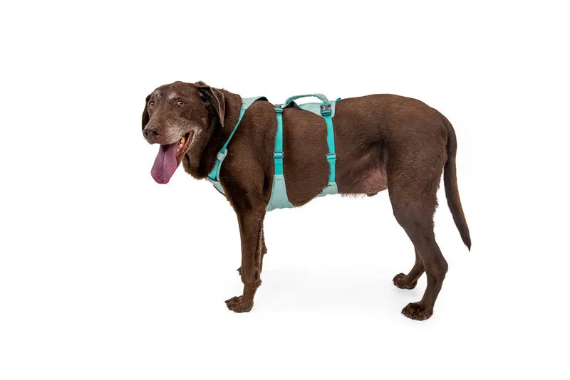 Ruffwear Flagline™ Dog Harness with Handle