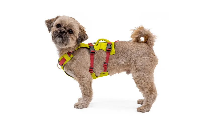 Ruffwear Flagline™ Dog Harness with Handle