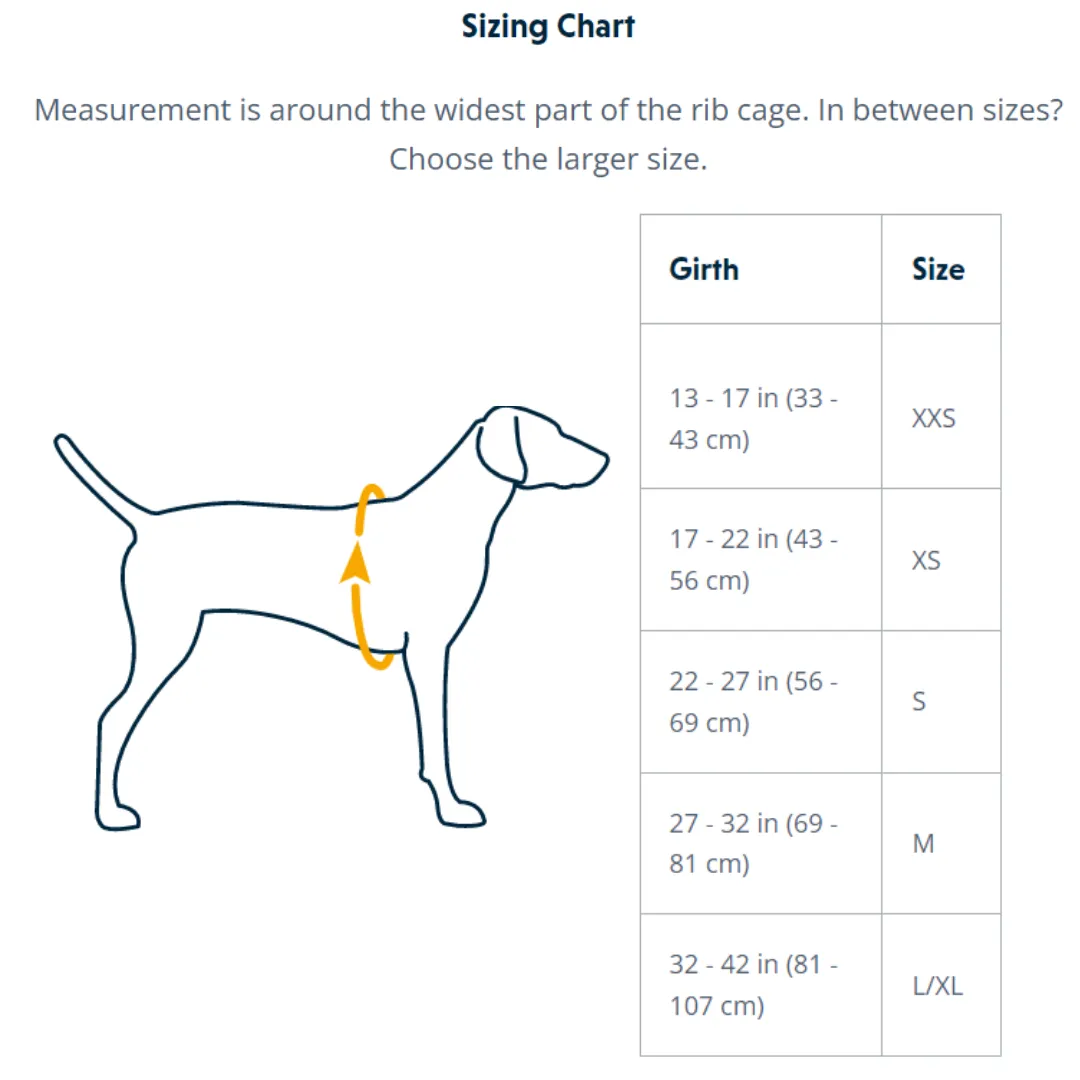 Ruffwear Flagline™ Dog Harness with Handle