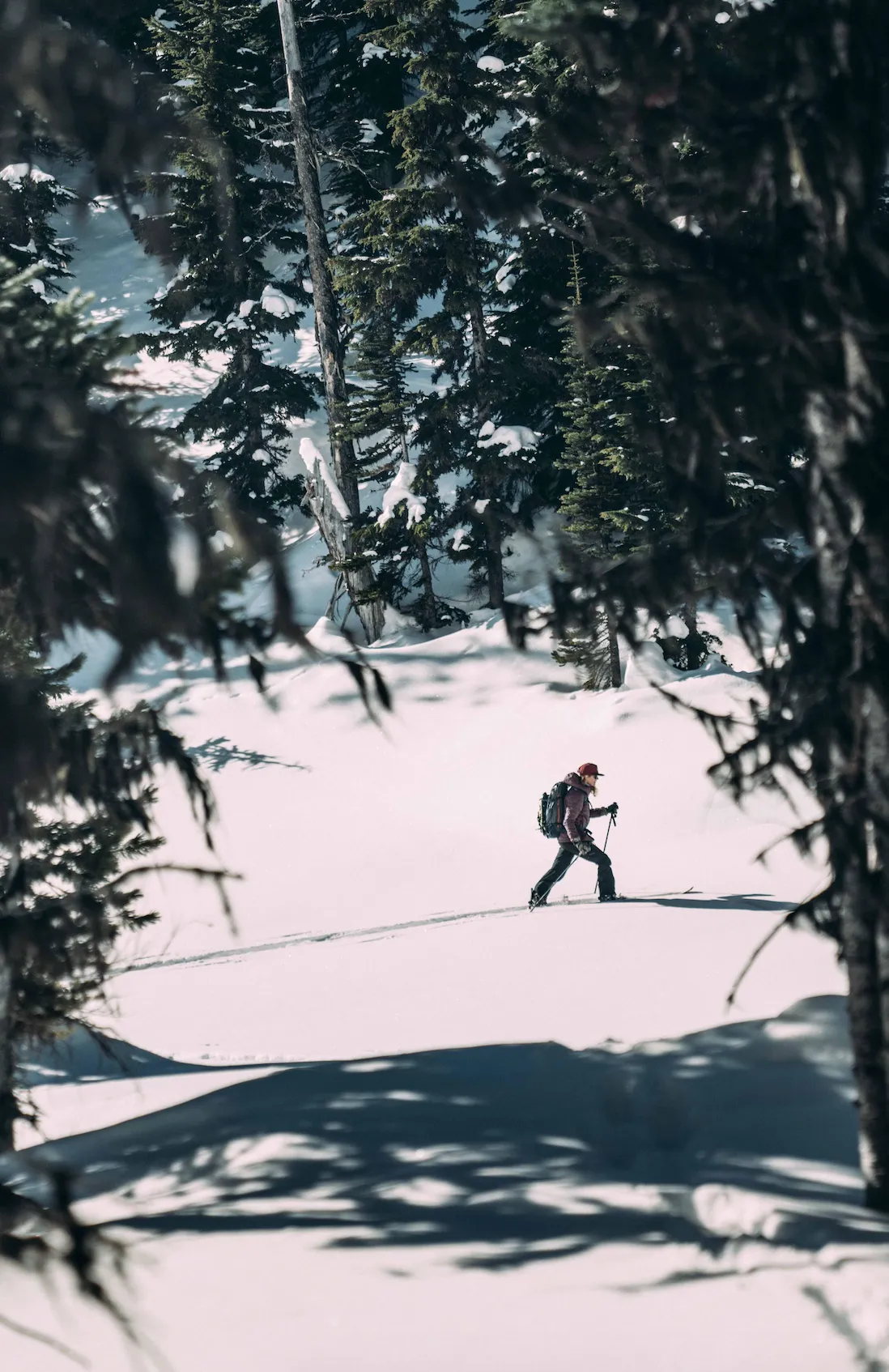 Swoon Splitboard Rocker