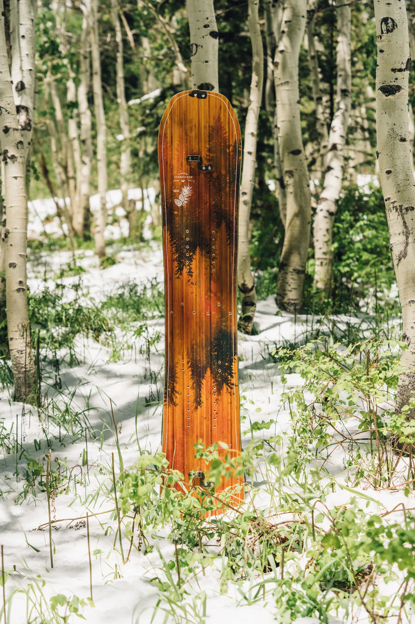 Swoon Splitboard