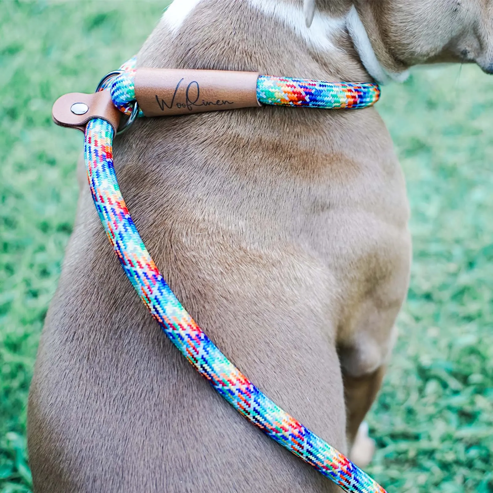 Ultra Reflective 7' "Fatty" Series Dog Slip Leash